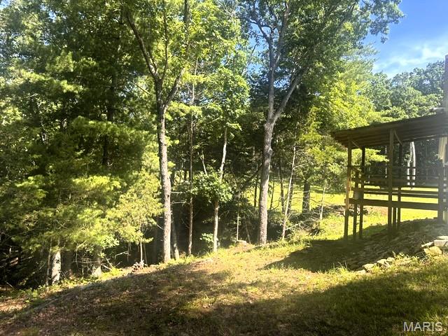 3200 Mossy Ridge Way Property Photo 43