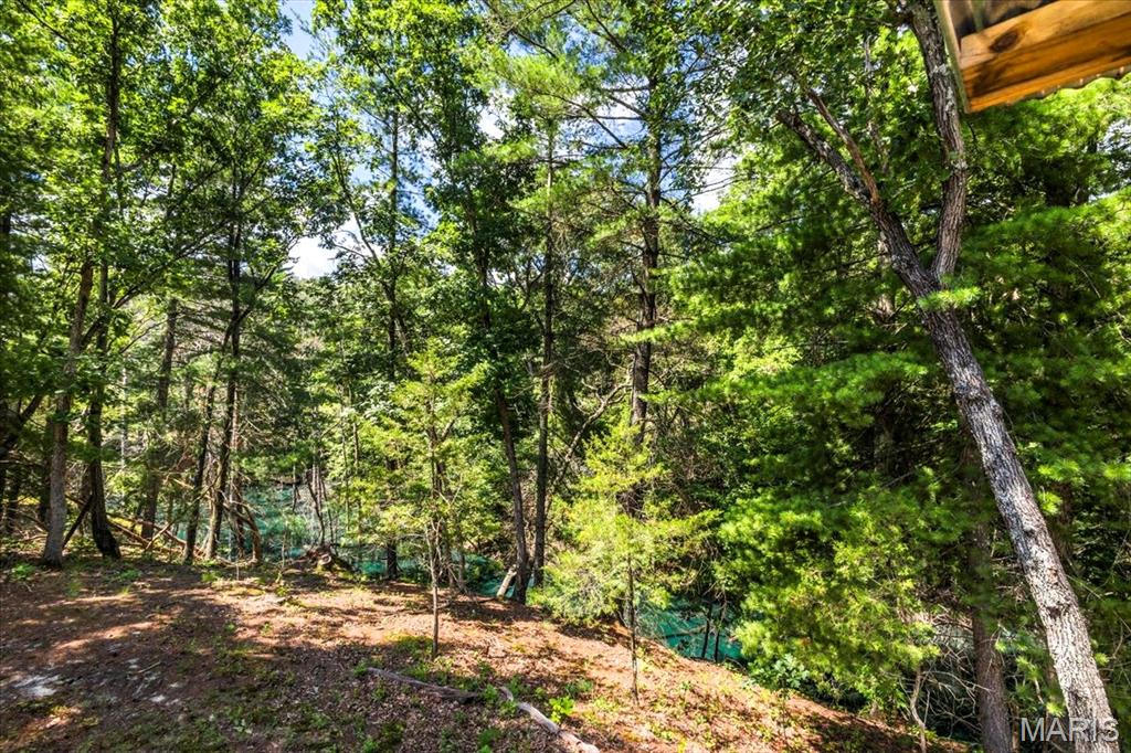 3200 Mossy Ridge Way Property Photo 44