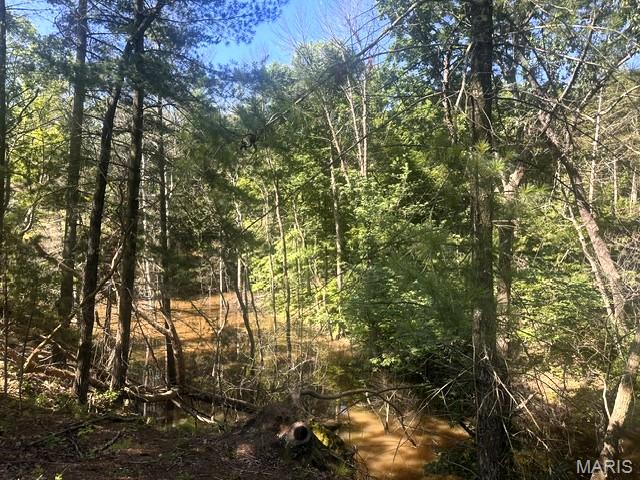 3200 Mossy Ridge Way Property Photo 47
