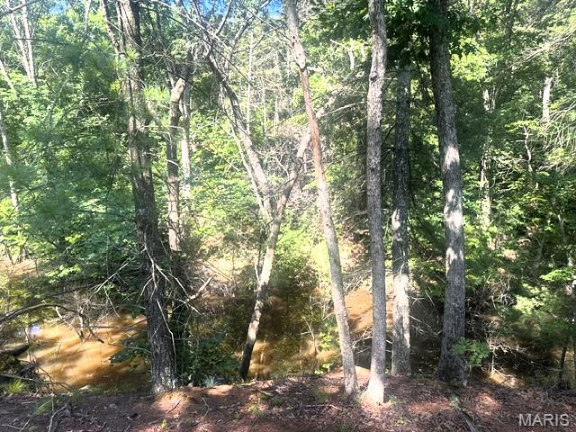 3200 Mossy Ridge Way Property Photo 48