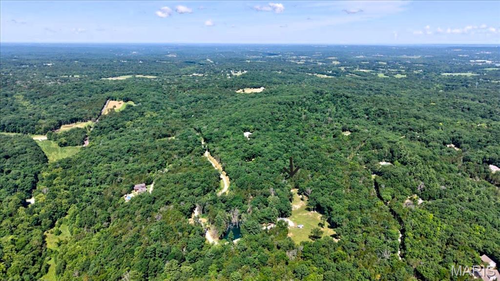 3200 Mossy Ridge Way Property Photo 49