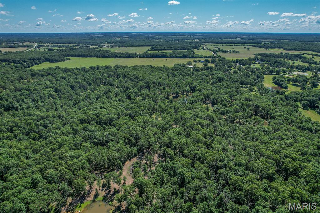15161 Edison Road Property Photo 69