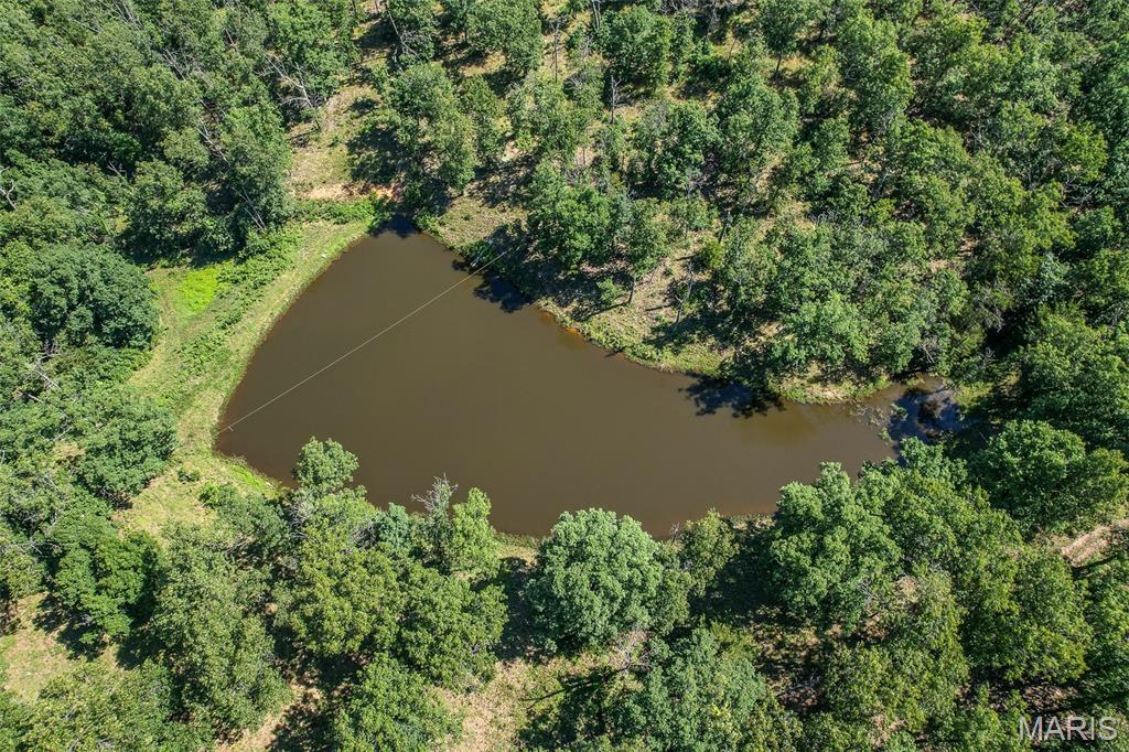 15161 Edison Road Property Photo 74