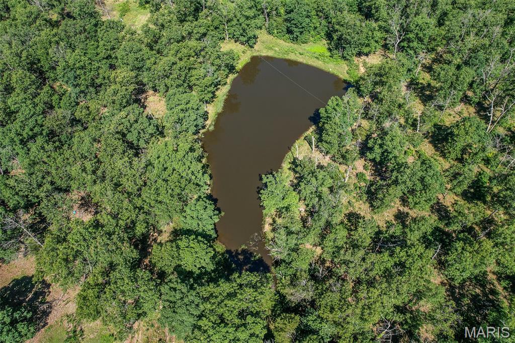 15161 Edison Road Property Photo 75