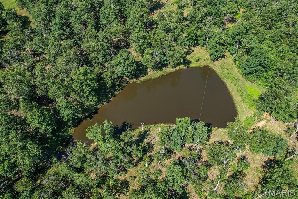 15161 Edison Road Property Photo 76