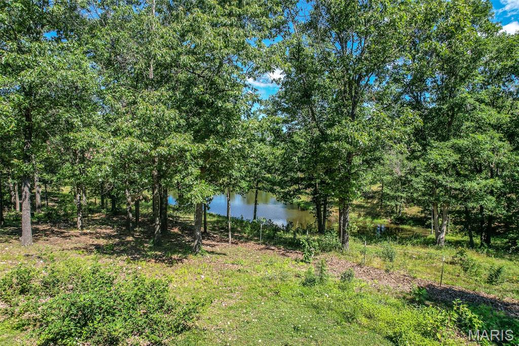 15161 Edison Road Property Photo 80