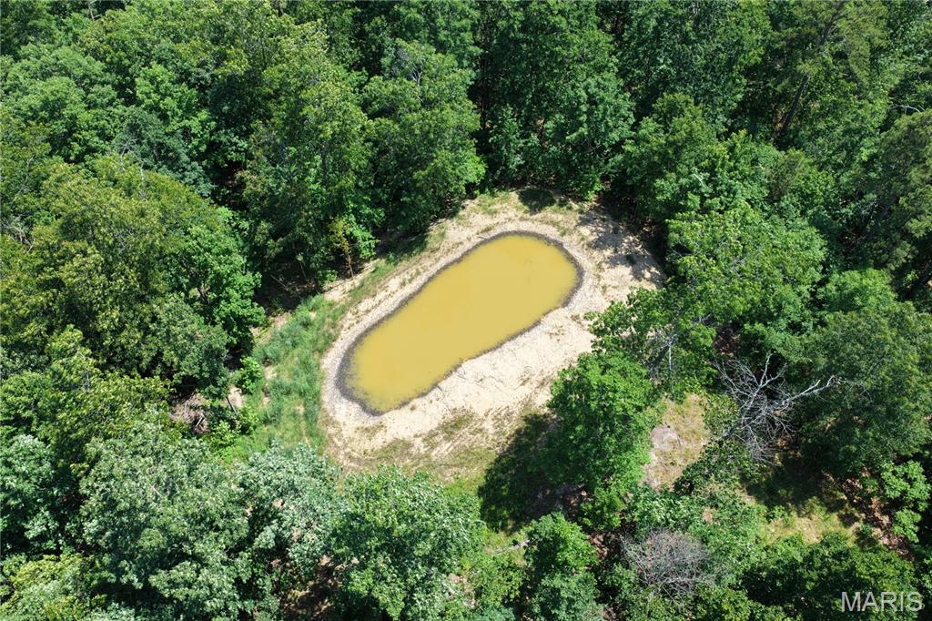 Tbd Highway 49 Property Photo 2