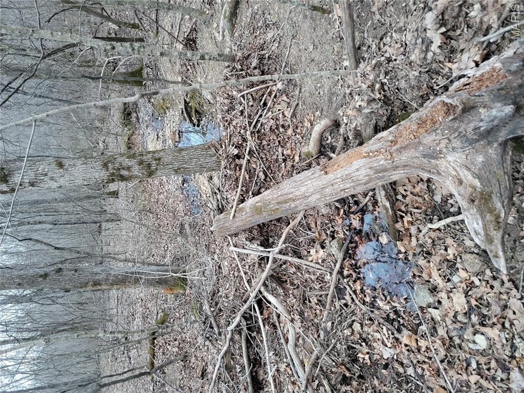 Tbd Highway 49 Property Photo 3