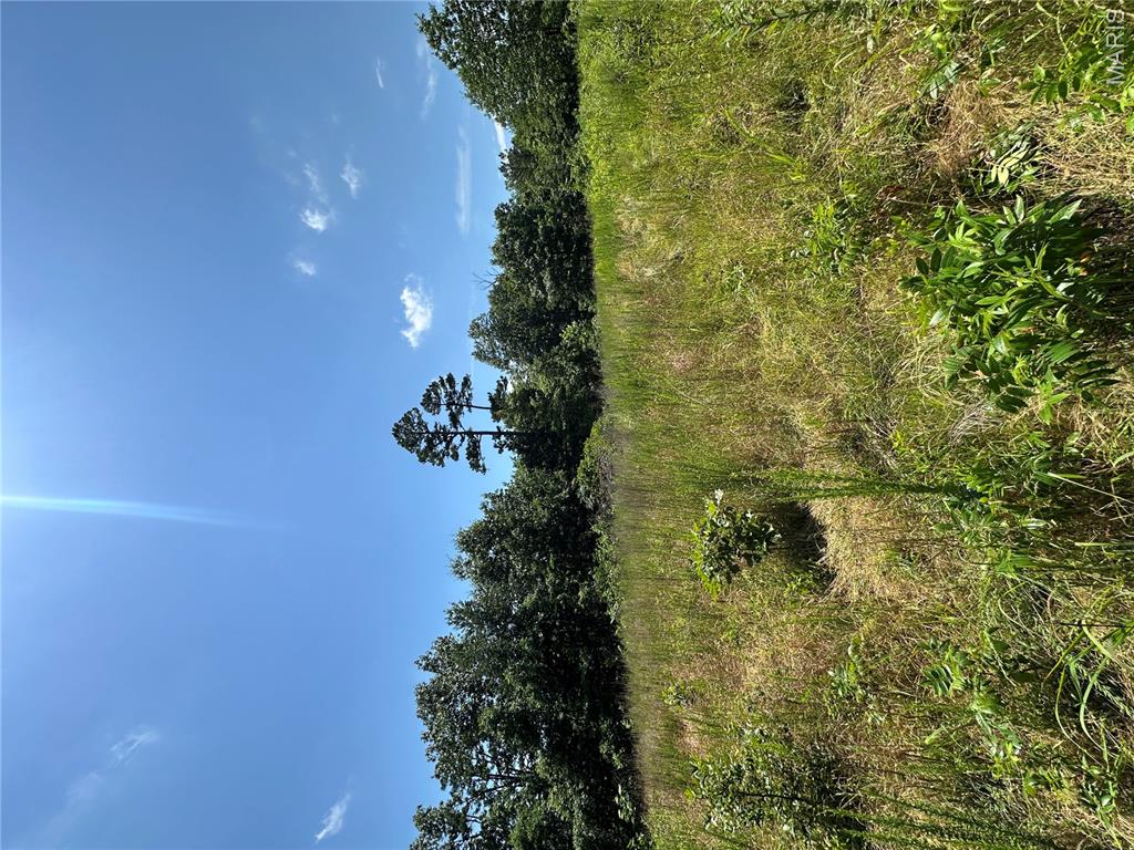 Tbd Highway 49 Property Photo 4