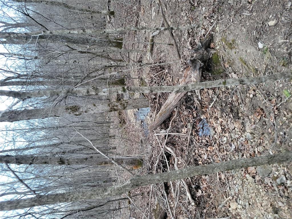Tbd Highway 49 Property Photo 6
