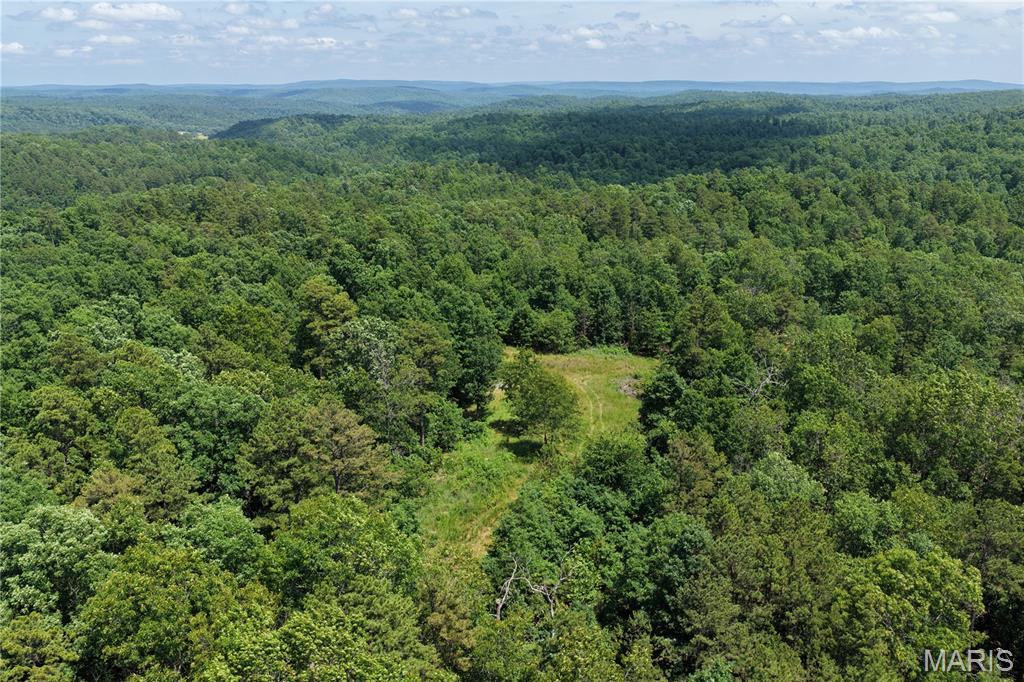 Tbd Highway 49 Property Photo 8