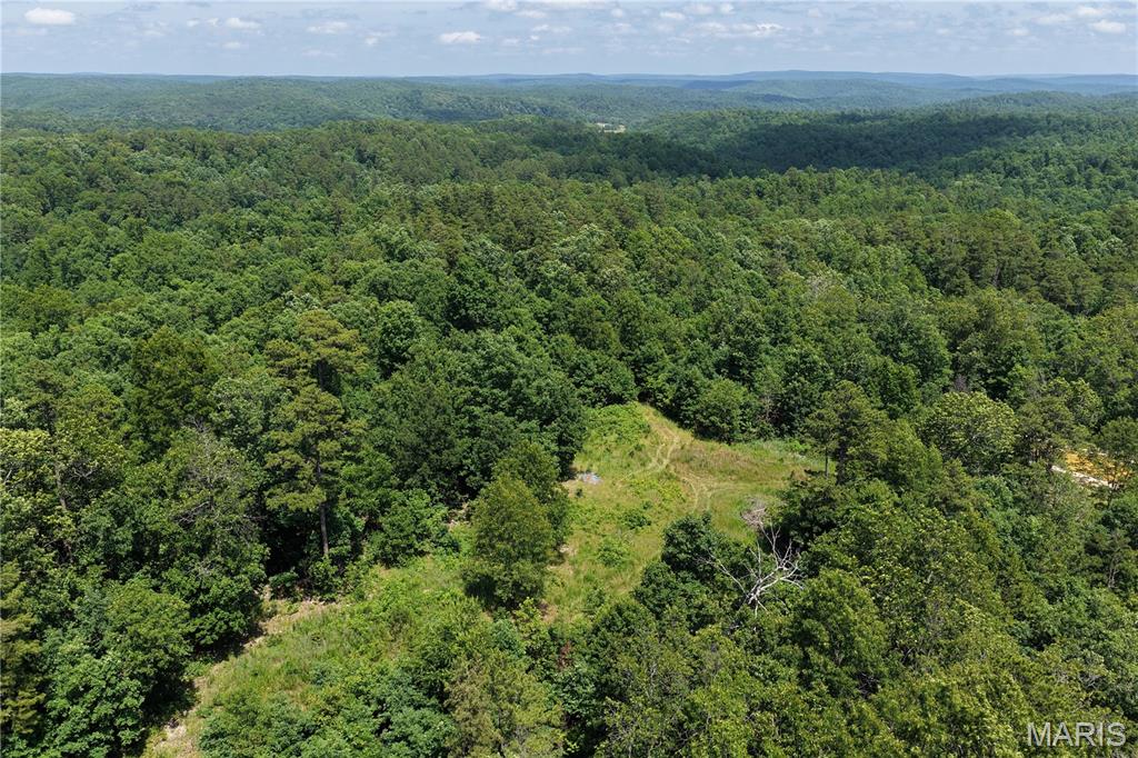 Tbd Highway 49 Property Photo 9