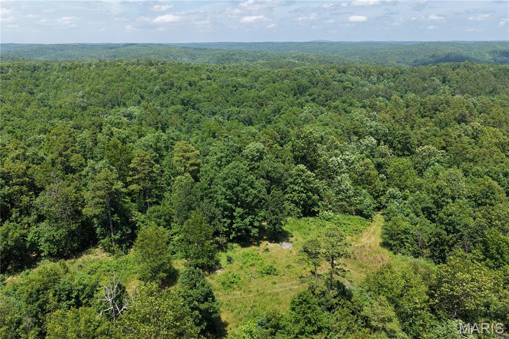 Tbd Highway 49 Property Photo 10