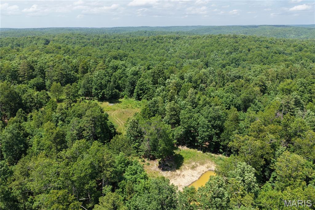 Tbd Highway 49 Property Photo 11