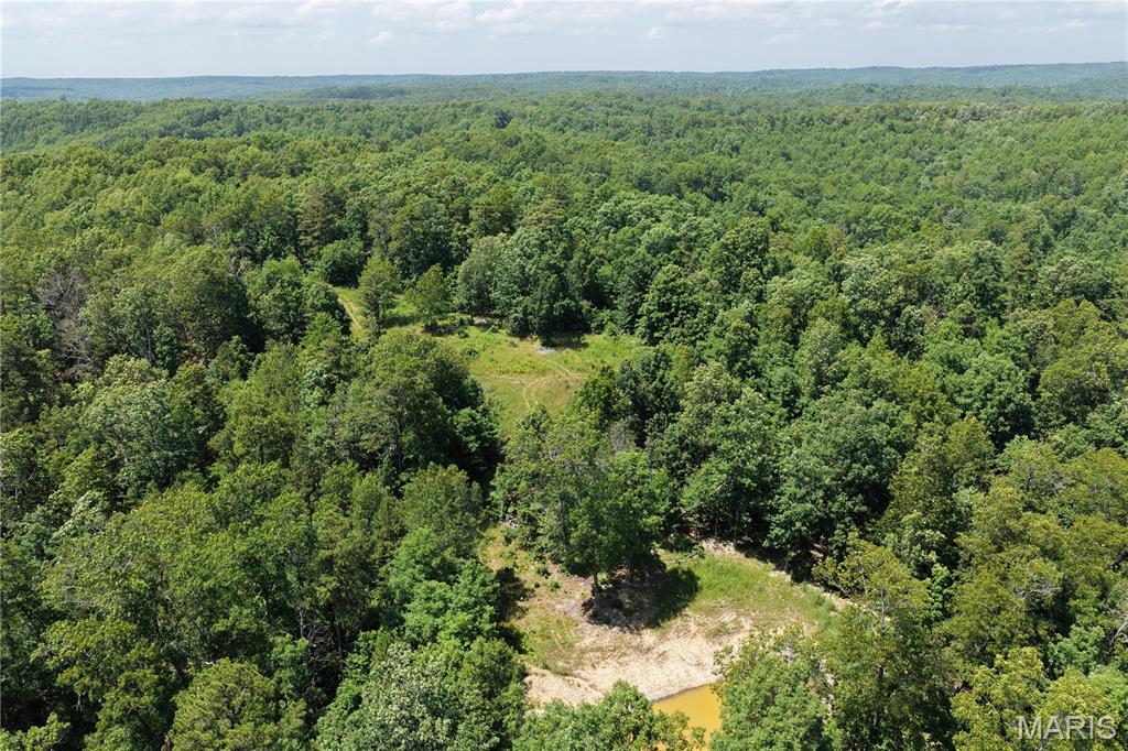 Tbd Highway 49 Property Photo 12