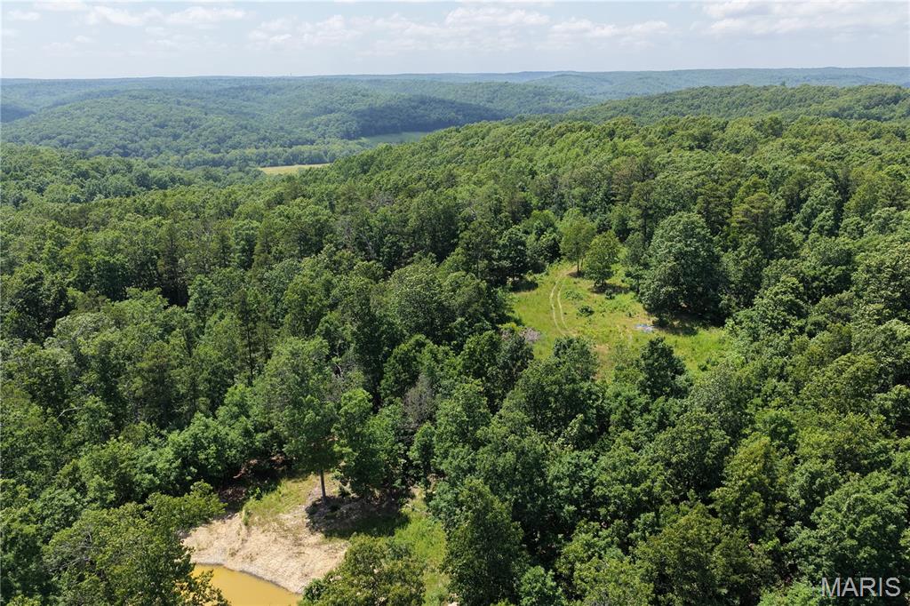 Tbd Highway 49 Property Photo 13