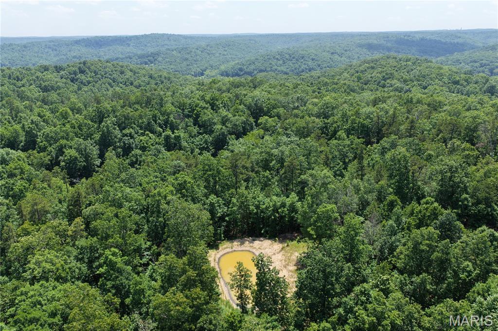 Tbd Highway 49 Property Photo 14