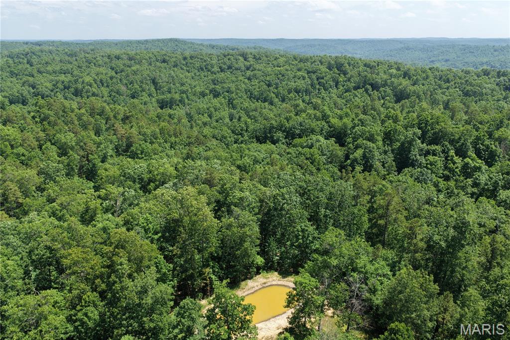 Tbd Highway 49 Property Photo 15