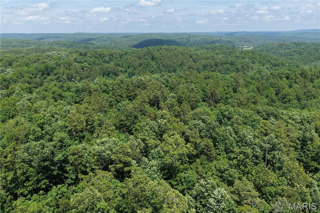 Tbd Highway 49 Property Photo 16