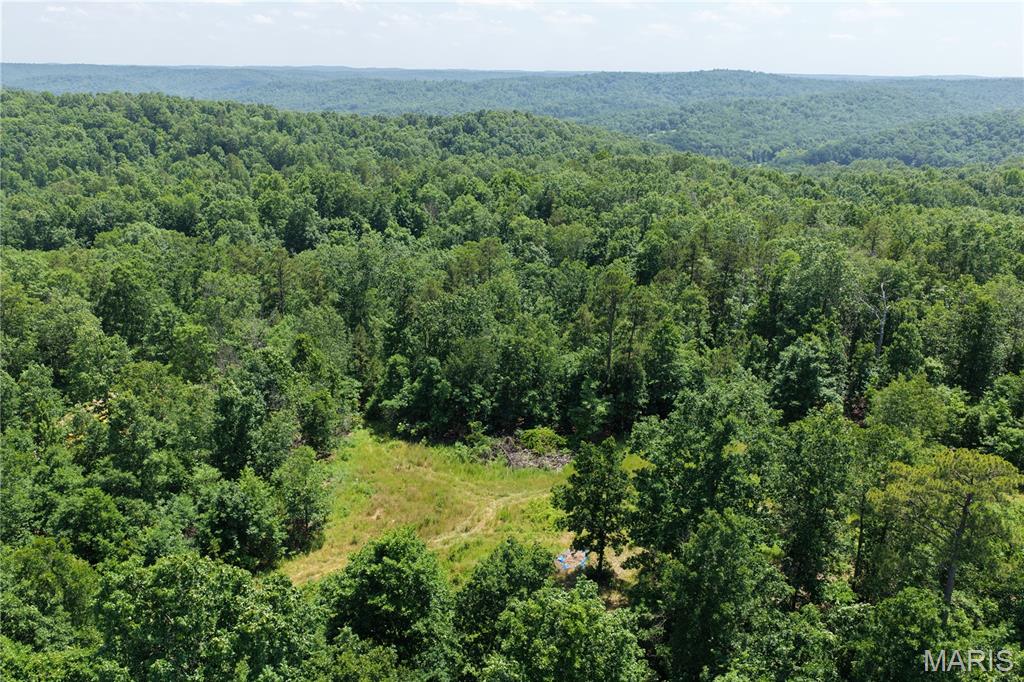 Tbd Highway 49 Property Photo 17