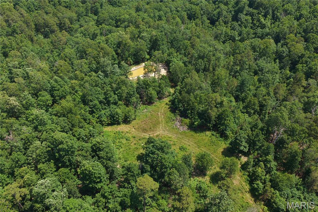 Tbd Highway 49 Property Photo 18