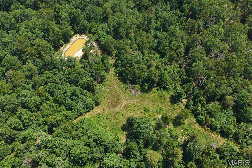 Tbd Highway 49 Property Photo 19