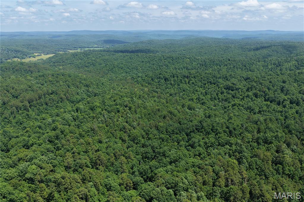 Tbd Highway 49 Property Photo 20