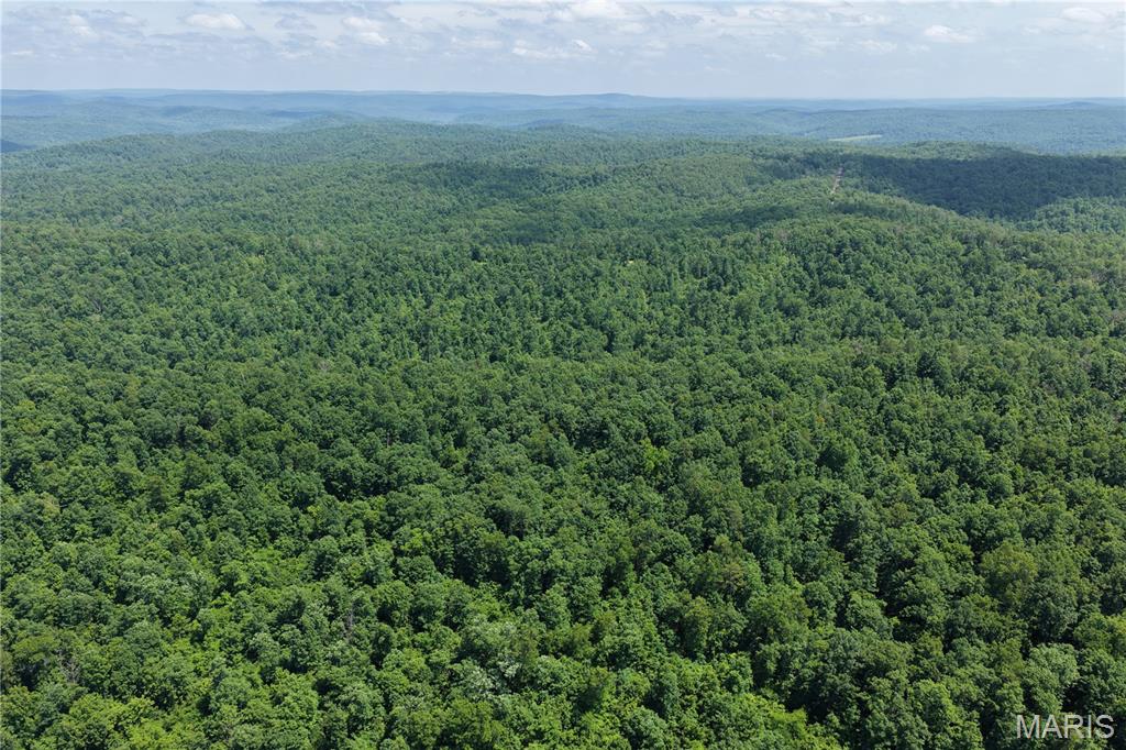 Tbd Highway 49 Property Photo 21