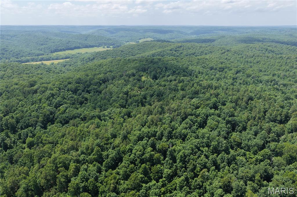 Tbd Highway 49 Property Photo 22
