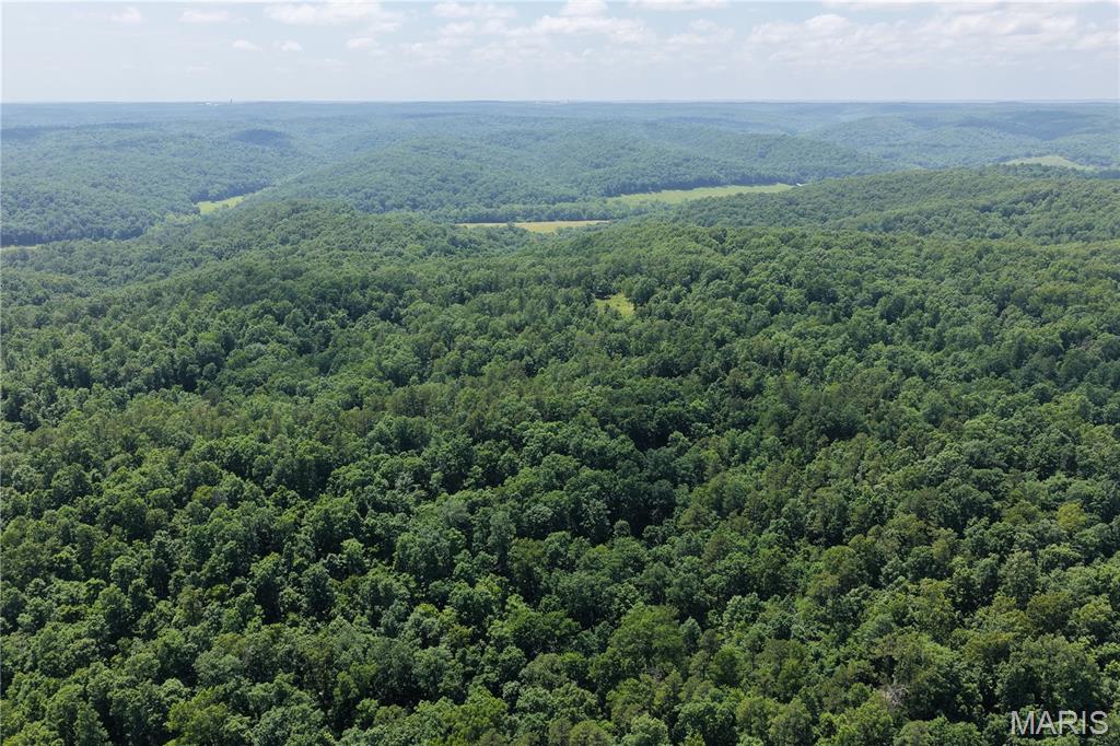 Tbd Highway 49 Property Photo 24