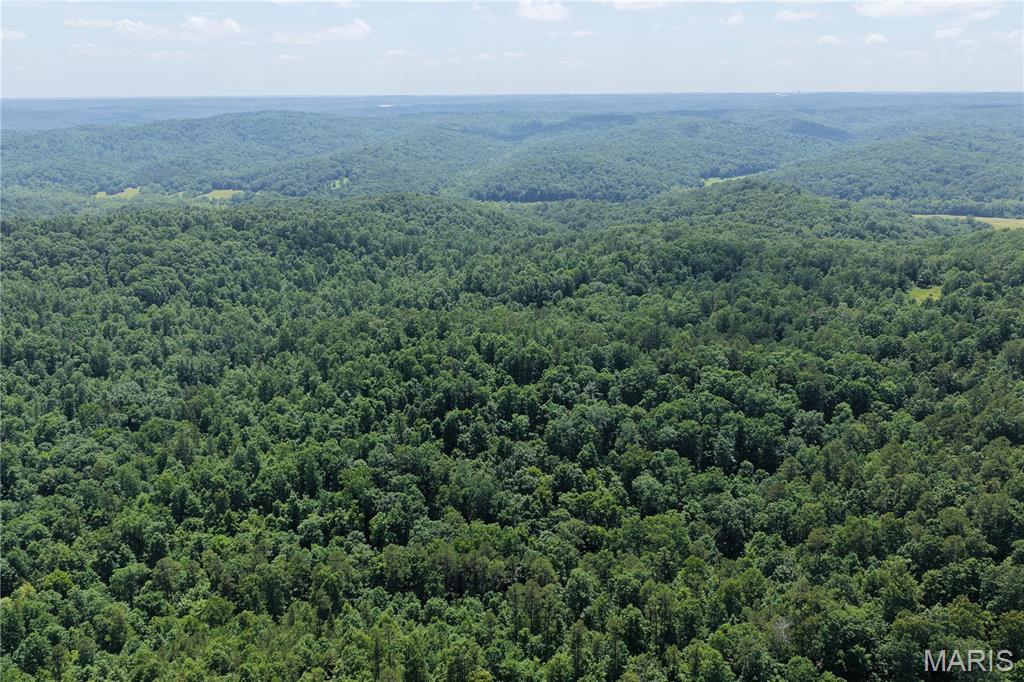 Tbd Highway 49 Property Photo 25