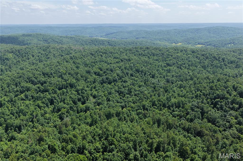 Tbd Highway 49 Property Photo 26