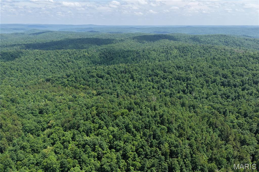 Tbd Highway 49 Property Photo 27