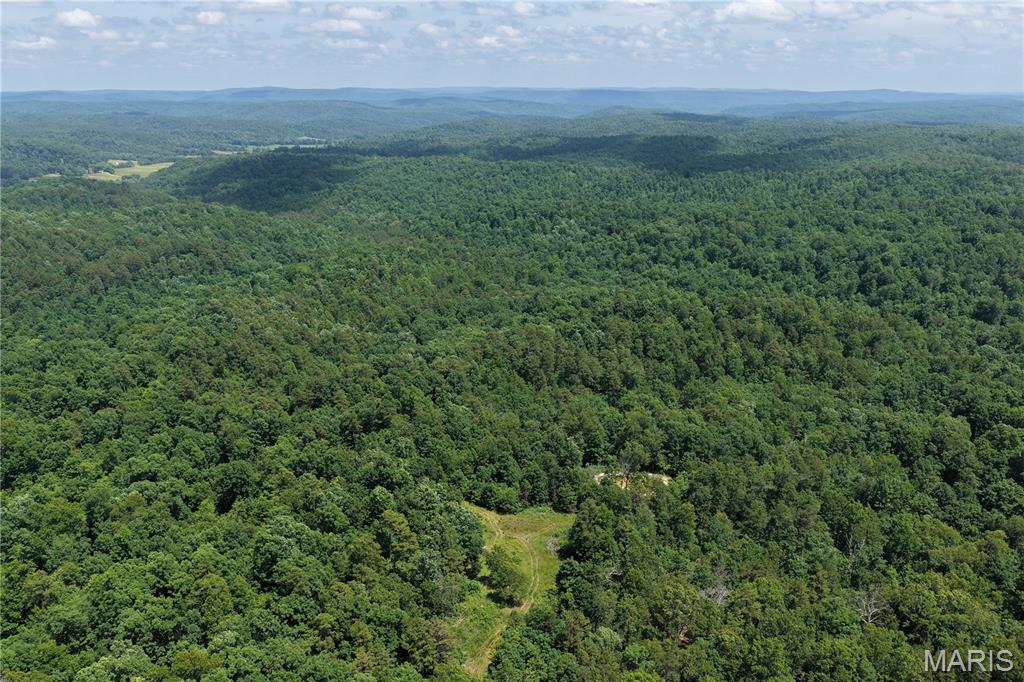 Tbd Highway 49 Property Photo 29