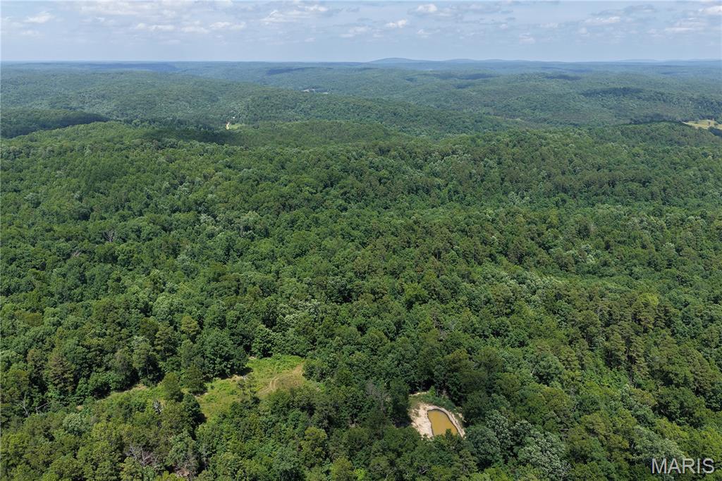 Tbd Highway 49 Property Photo 30