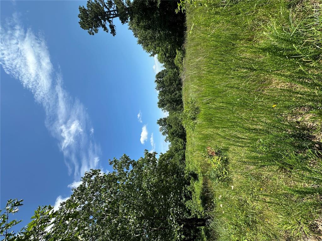 Tbd Highway 49 Property Photo 31