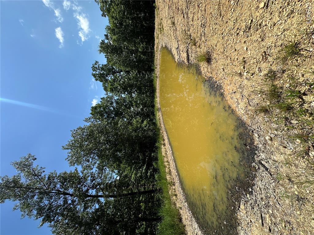 Tbd Highway 49 Property Photo 32