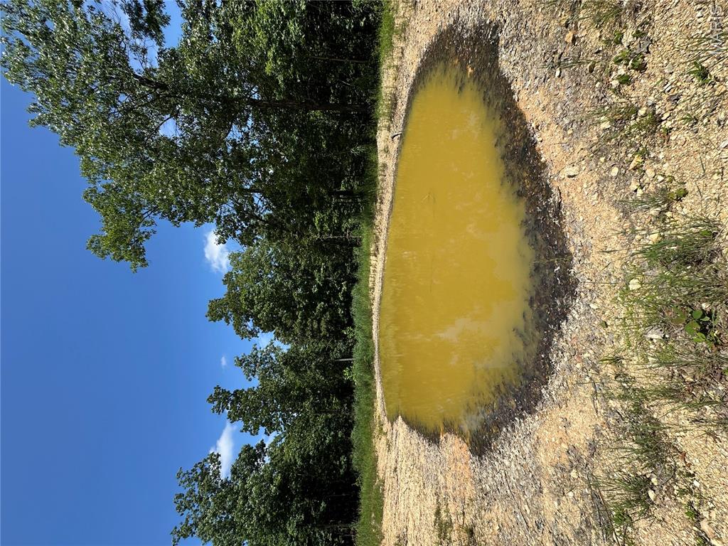 Tbd Highway 49 Property Photo 33