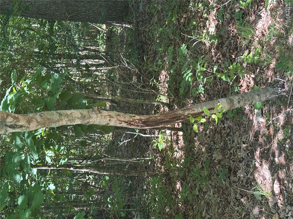 Tbd Highway 49 Property Photo 35