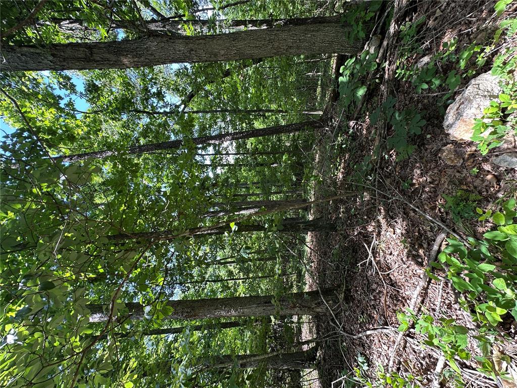 Tbd Highway 49 Property Photo 36