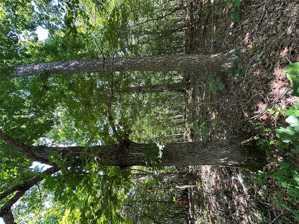 Tbd Highway 49 Property Photo 37