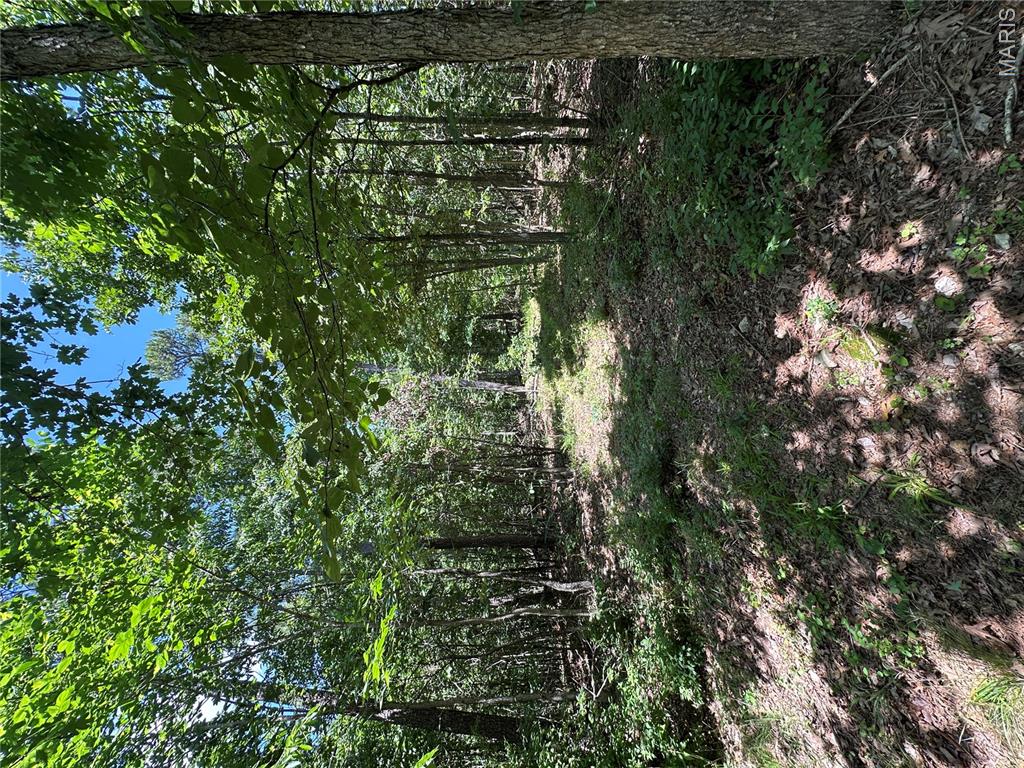Tbd Highway 49 Property Photo 38