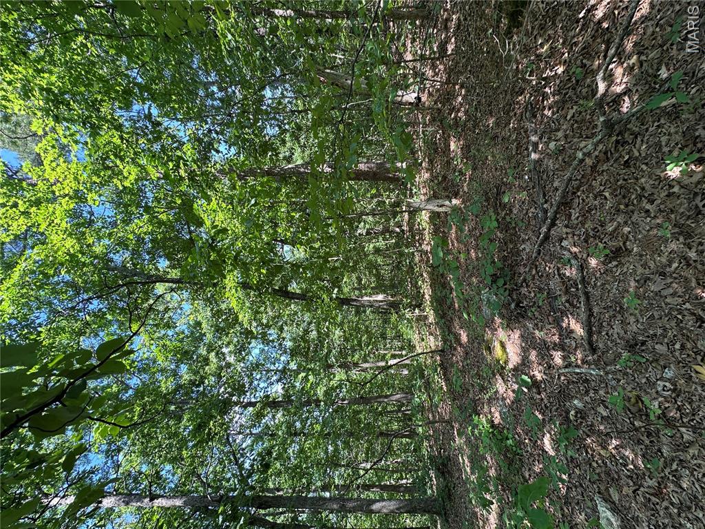Tbd Highway 49 Property Photo 39