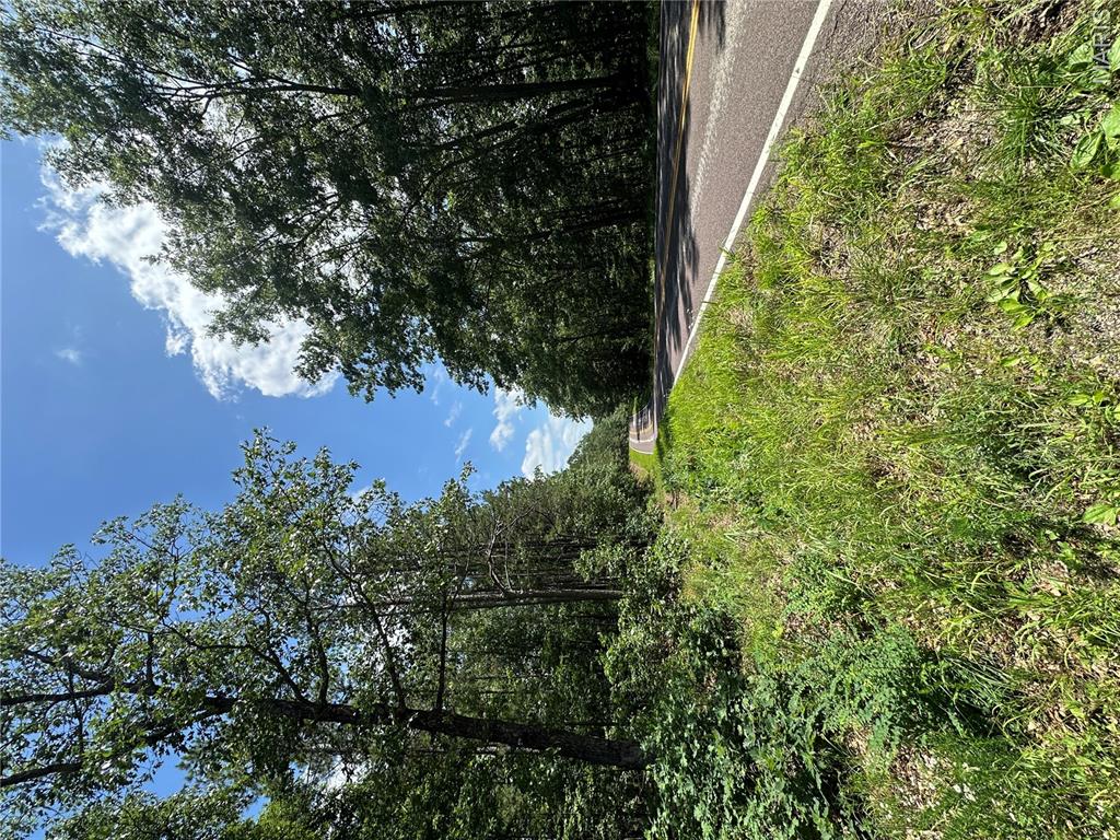 Tbd Highway 49 Property Photo 40