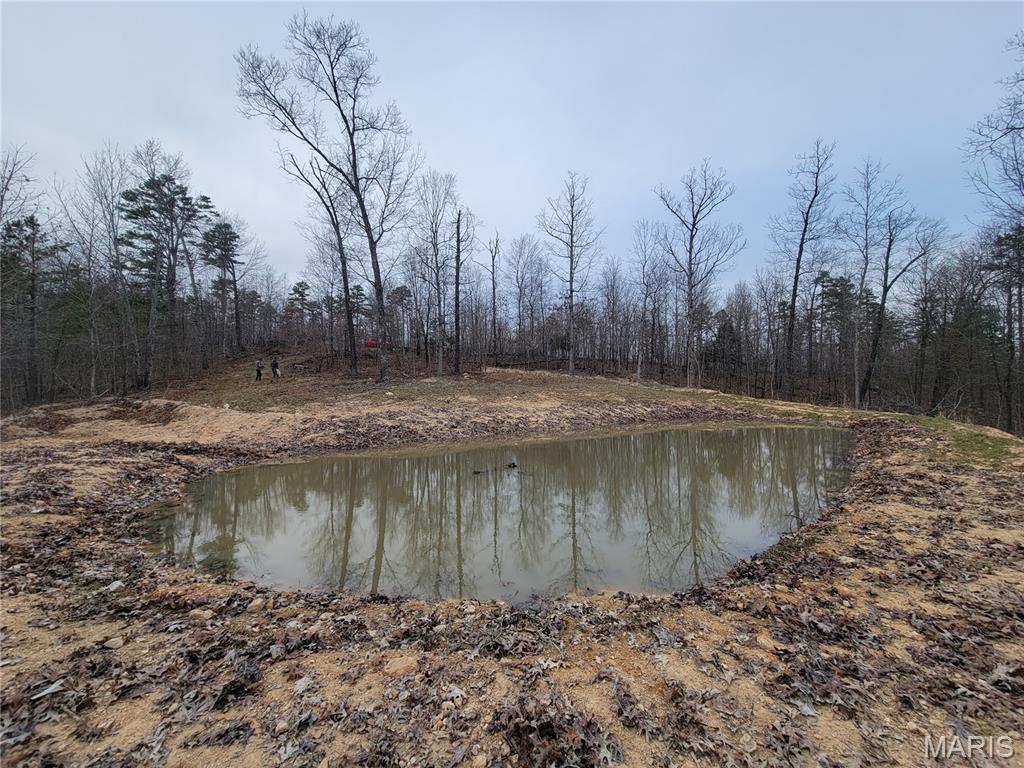 Tbd Highway 49 Property Photo 41