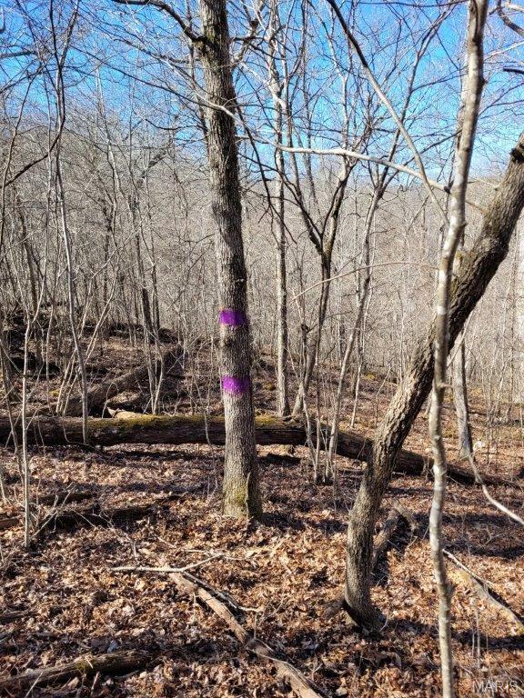 Tbd Highway 49 Property Photo 43