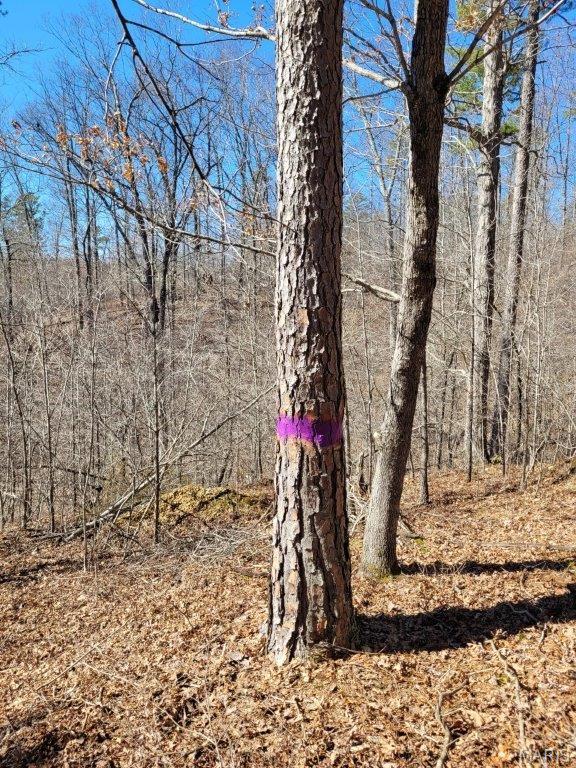 Tbd Highway 49 Property Photo 44
