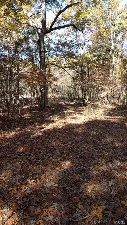 Tbd Highway 49 Property Photo 46