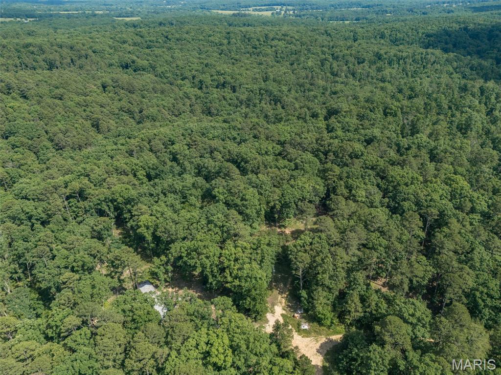 10130 Fish Hook Road Property Photo 2