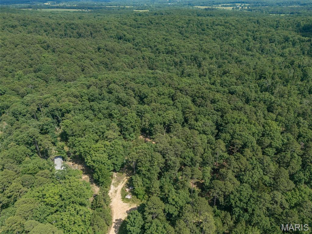10130 Fish Hook Road Property Photo 4